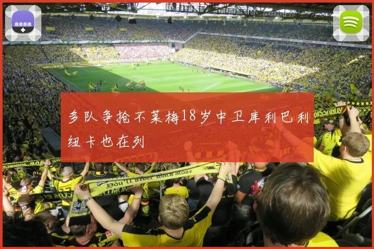 多队争抢不莱梅18岁中卫库利巴利纽卡也在列
