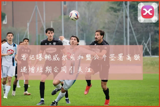 名记曝鲍威尔或加盟公牛签署高额递增短期合同引关注